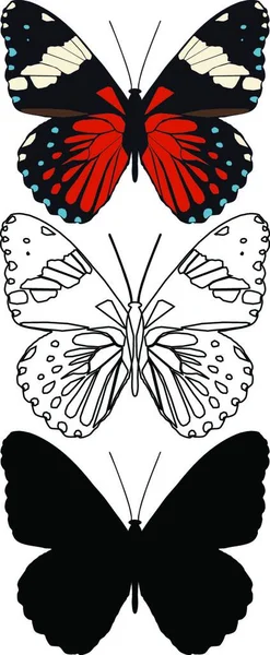 Conjunto Mariposas Ilustración Arte Creativo — Vector de stock