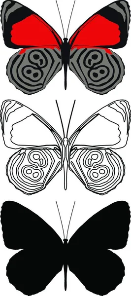 Conjunto Mariposas Ilustración Arte Creativo — Archivo Imágenes Vectoriales