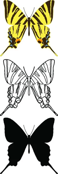Set Butterflies Creative Art Illustration — Stock Vector