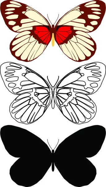 Set Butterflies Creative Art Illustration — Stock Vector