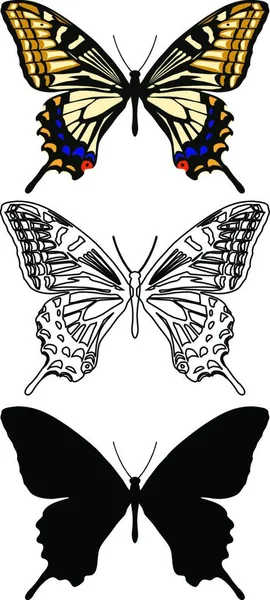 Sada Motýlů Kreativní Umělecká Ilustrace — Stockový vektor