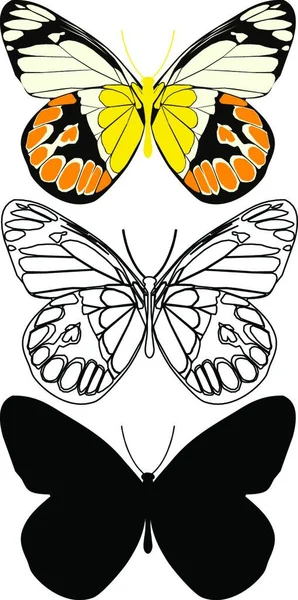 Set Von Schmetterlingen Kreative Kunstillustration — Stockvektor