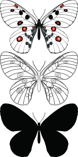 蝶のセット 創造的なアートイラスト — ストックベクタ