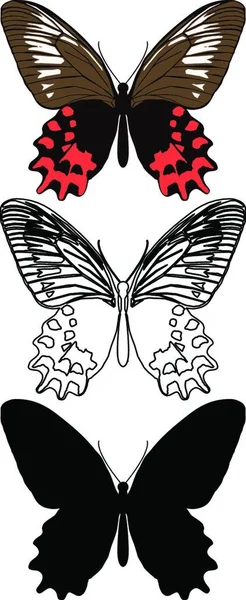 Ensemble Papillons Illustration Art Créatif — Image vectorielle