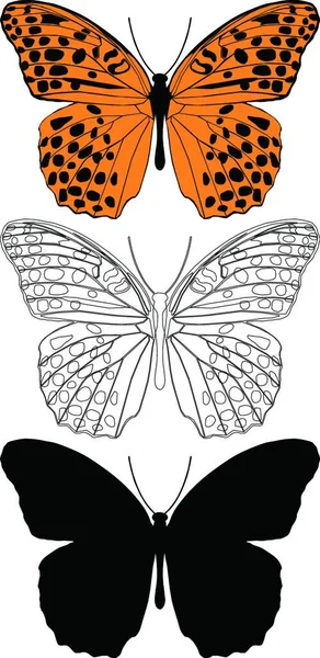 蝶のセット 創造的なアートイラスト — ストックベクタ