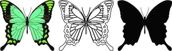 Sada Motýlů Kreativní Umělecká Ilustrace — Stockový vektor