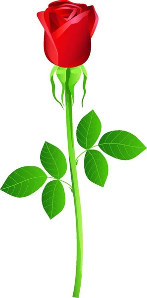 Τριαντάφυλλο Λουλούδι Διανυσματική Απεικόνιση Απλό Σχέδιο — Διανυσματικό Αρχείο