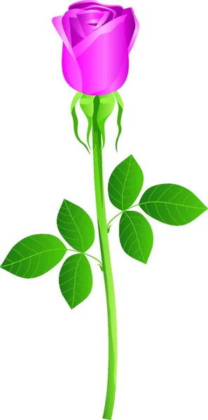 Τριαντάφυλλο Λουλούδι Διανυσματική Απεικόνιση Απλό Σχέδιο — Διανυσματικό Αρχείο