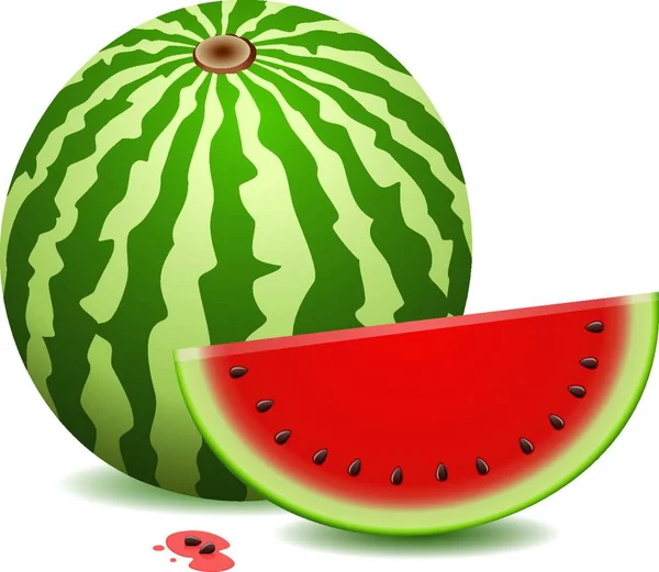 Watermeloen Vector Illustratie Eenvoudig Ontwerp — Stockvector