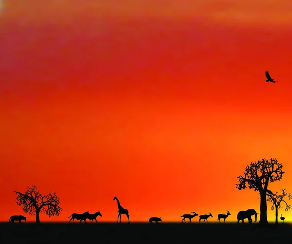 Illustraion Των Ζώων Στο Ηλιοβασίλεμα Στην Αφρική — Διανυσματικό Αρχείο