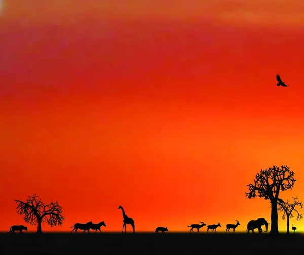 Lendário Rn7 Significa Rota Nacional Que Atravessa Savana Selvagem Vermelha  Africana Com Pequenas árvores E Arbustos Nos Lados Imagem de Stock - Imagem  de paisagem, destino: 174232899