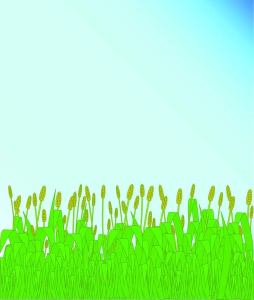Grass Verge Ilustración Vectorial Gráfica — Vector de stock