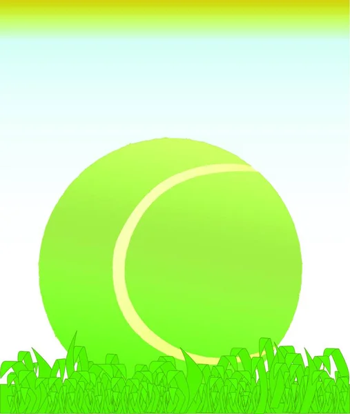 草地上的网球球 图形矢量图解 — 图库矢量图片