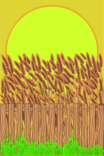 Crop Field Graphic Vector Illustration — Stock Vector