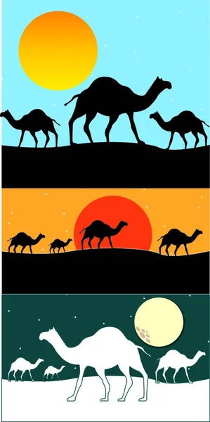 Camellos Ilustración Vectorial Gráfica — Archivo Imágenes Vectoriales
