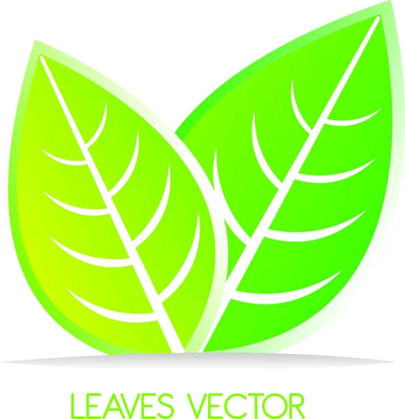 Levelek Ikon Web Vektor Illusztráció — Stock Vector