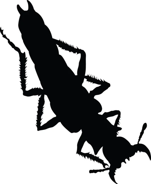 Silueta Del Insecto Ilustración Colorida Del Vector — Archivo Imágenes Vectoriales