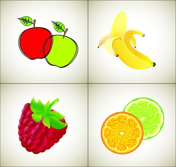 Illustration Der Früchte — Stockvektor