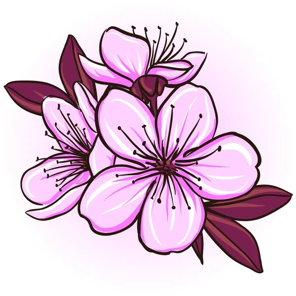 Illustration Fleur Cerisier — Image vectorielle