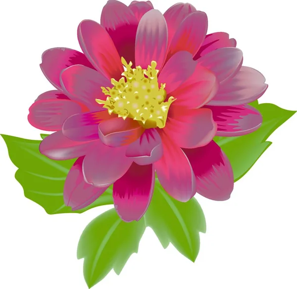 Schöne Exotische Blume Vektorillustration Einfaches Design — Stockvektor