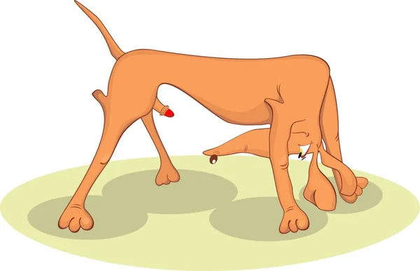 Собака Готовий Любові Векторні Ілюстрації — стоковий вектор