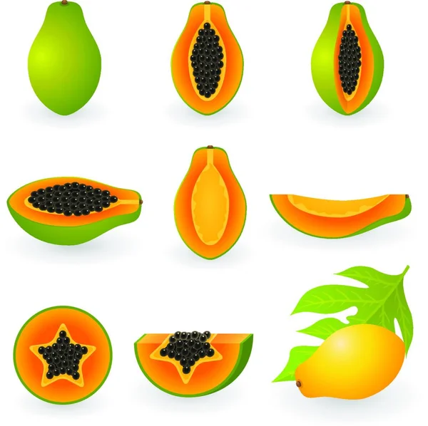 Papaya Modern Vektor Illustration — Stock vektor