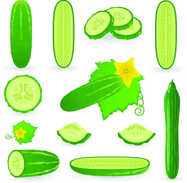 Cucumber Gaya Vektor Ilustrasi - Stok Vektor