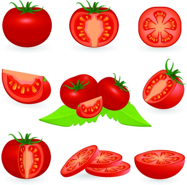 Tomates Ilustração Vetorial Elegante — Vetor de Stock