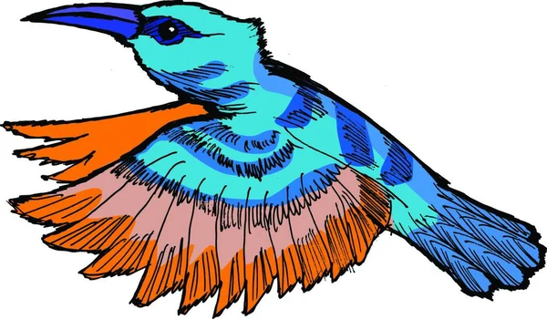 Kolibri Moderne Vektorillustration — Stockvektor