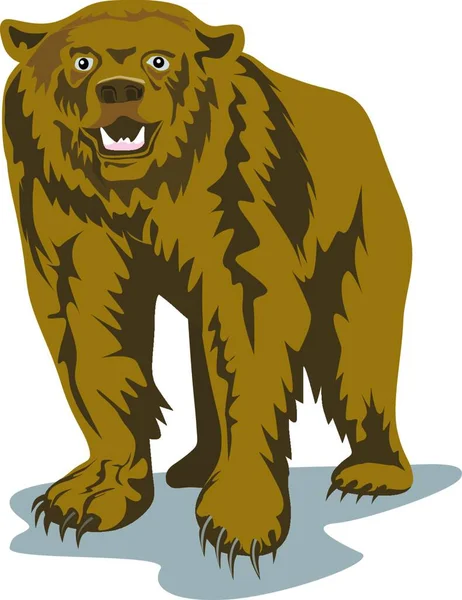Abbildung Des Braunbären — Stockvektor