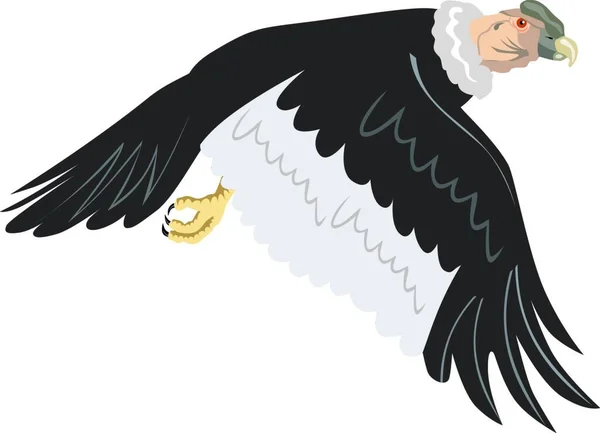 Ilustração Condor Voo — Vetor de Stock