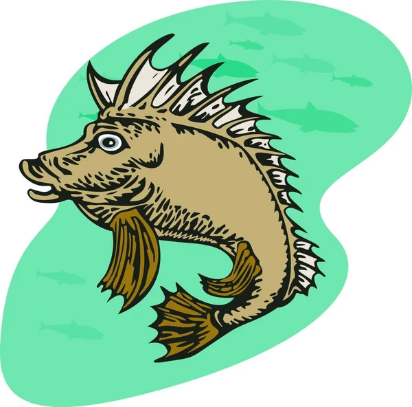 Illustration Pigfish Swimming — Stock Vector