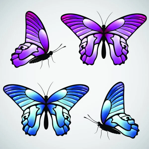 Illustration Vecteur Papillons Colorés — Image vectorielle