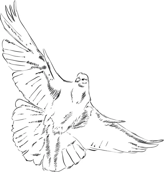 Ilustrasi Burung Merpati Konsep Hari Perdamaian Sedunia - Stok Vektor