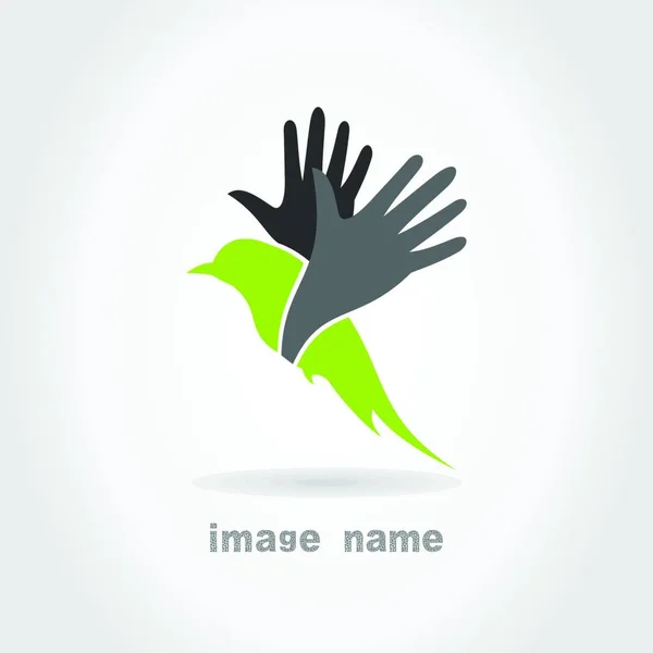 Oiseaux Illustration Vectorielle Colorée — Image vectorielle