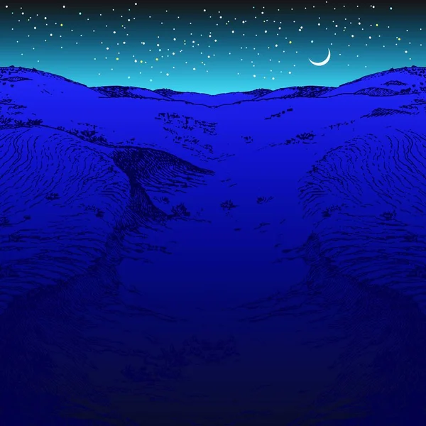 夜の砂漠 グラフィックベクトルイラスト — ストックベクタ