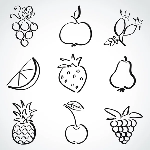 Frutta Bacche Illustrazione Vettoriale Colorata — Vettoriale Stock