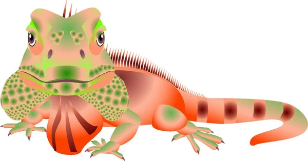 Iguana Colorida Ilustración Vectorial — Vector de stock