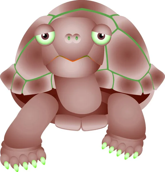 Illustration Isolerad Sköldpadda Vitt — Stock vektor