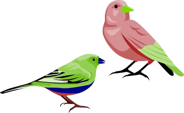 Современная Векторная Иллюстрация Птиц — стоковый вектор
