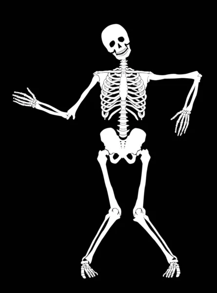 Ілюстрація Скелета — стоковий вектор