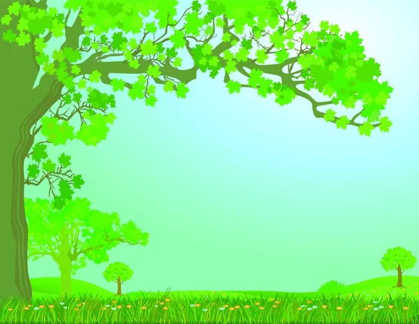 Illustration Der Frühlingswiese — Stockvektor