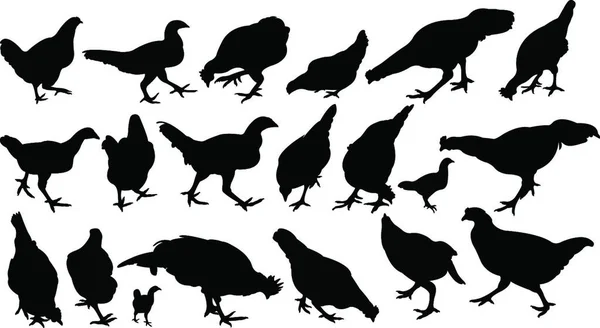 Illustration Des Silhouettenvektors Für Hühner — Stockvektor