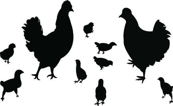 Sylwetka Rodziny Kurczaków Ilustracja Wektora Graficznego — Wektor stockowy