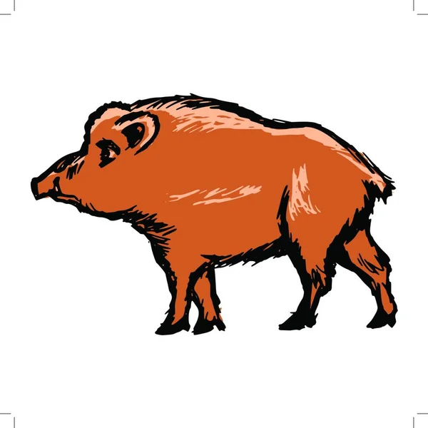 Wild Boar Graphic Vector Illustration — Stock Vector