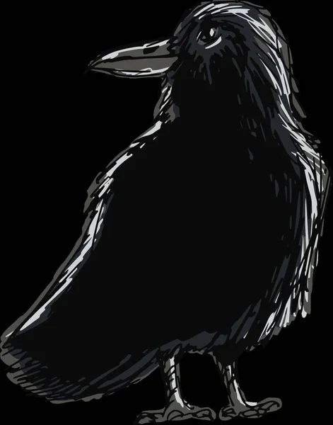 Ravenova Grafická Vektorová Ilustrace — Stockový vektor