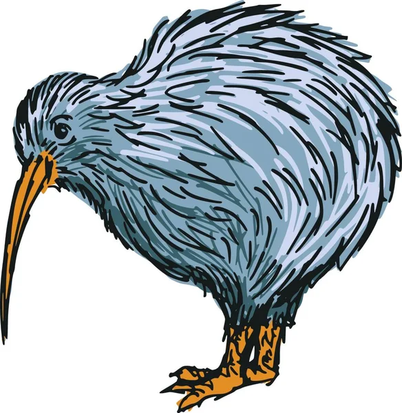 Pták Kiwi Barevná Vektorová Ilustrace — Stockový vektor