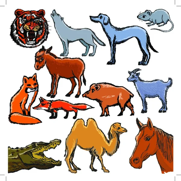Набор Различных Животных — стоковый вектор