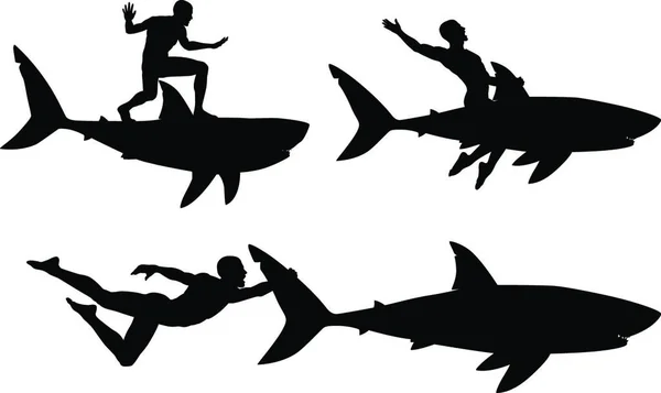 Tubarão Cavaleiro Ilustração Vetorial Moderna —  Vetores de Stock