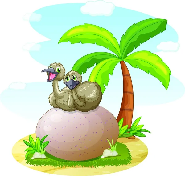 Pelican Sitting Rock Graphic Vector Illustration — Stock Vector